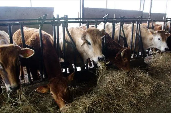 Le Campagnole Vakantieboerderij *